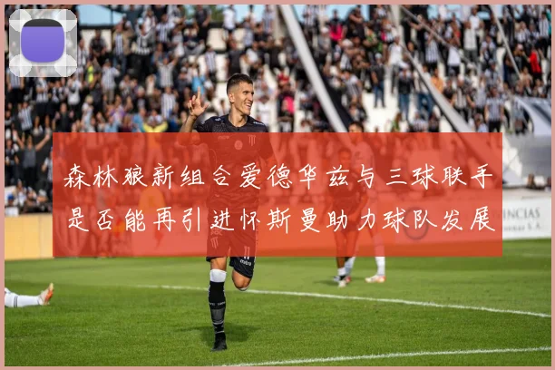 森林狼新组合爱德华兹与三球联手是否能再引进怀斯曼助力球队发展